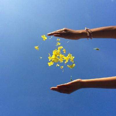 皇冠新体育·截图