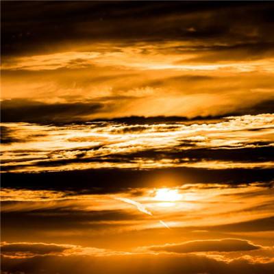 乐鱼·(LEYU)体育官方网站