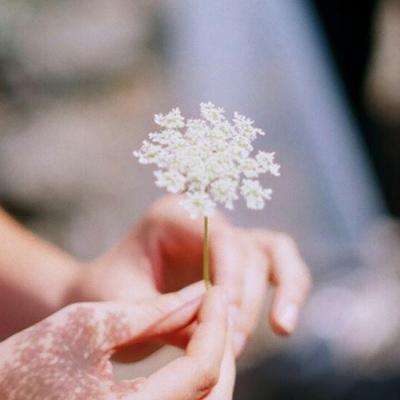 皇冠welcome下载下载手机版