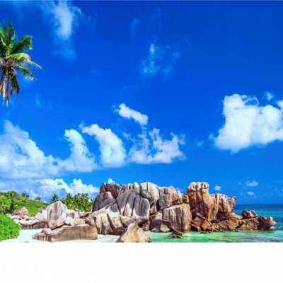 皇冠新体育·截图