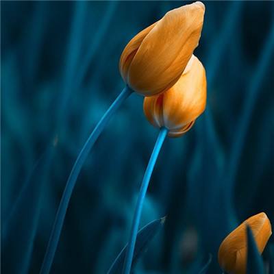 银河棋牌app下载