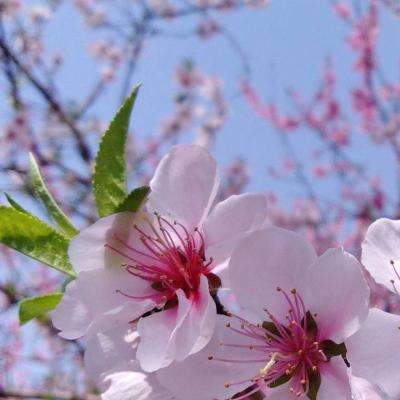 赌博pg电子平台截图