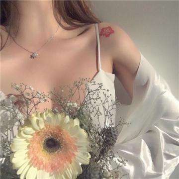 半岛官方网站入口下载截图